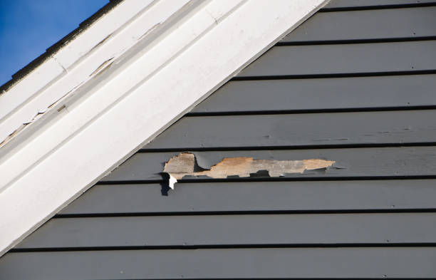 Professional Siding Installation & Repair in Forest Meadows, CA